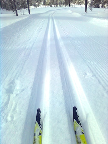 Høgseterrennet -sjekk antall renn du har gått